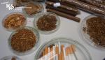 Próbki tytoniu, papierosów i wyrobów tytoniowych.